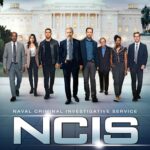 NCIS: The Twentieth Season [DVD]
